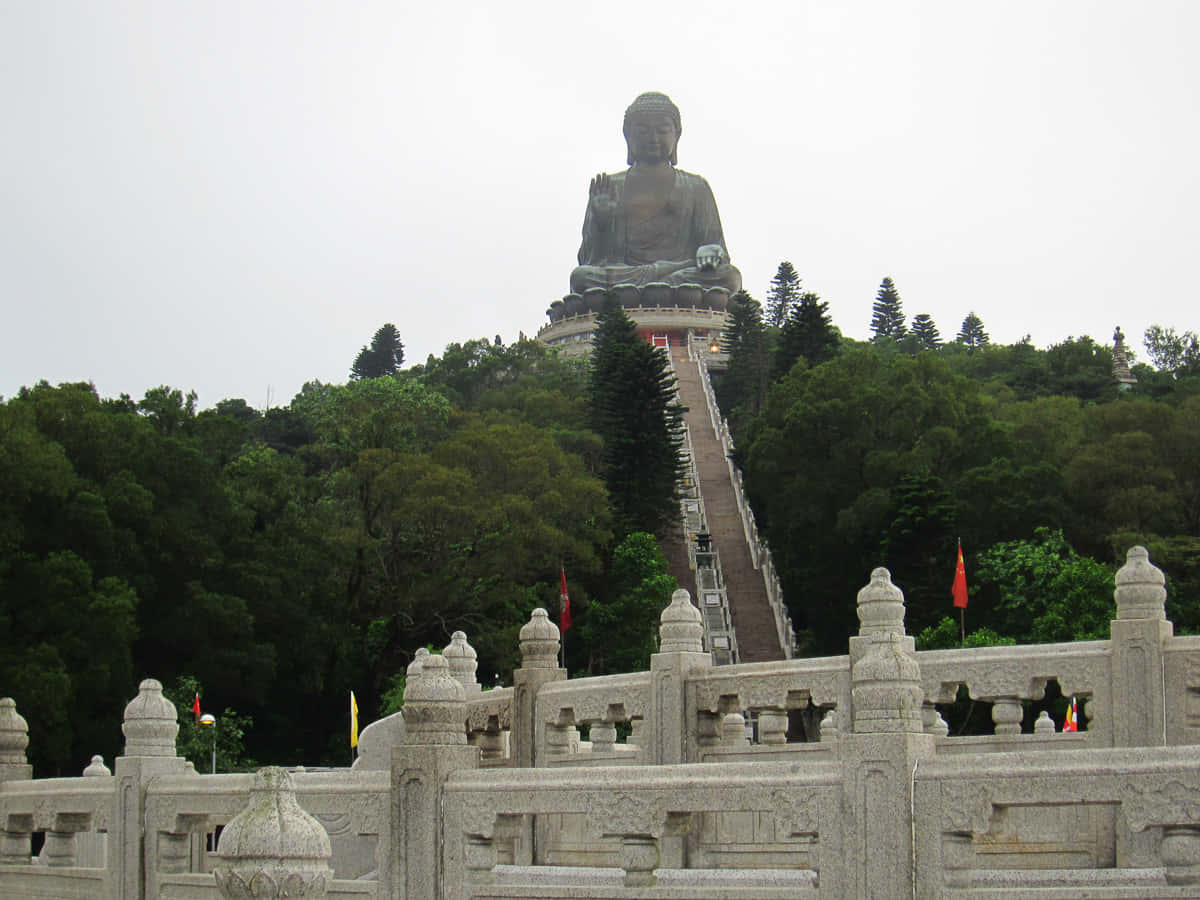Tian Tan Buddha Background