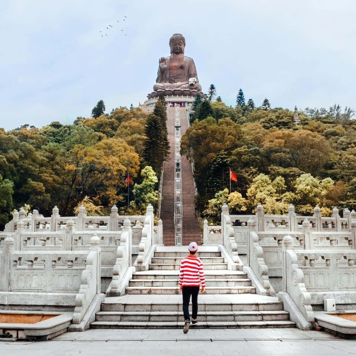 Tian Tan Buddha Background