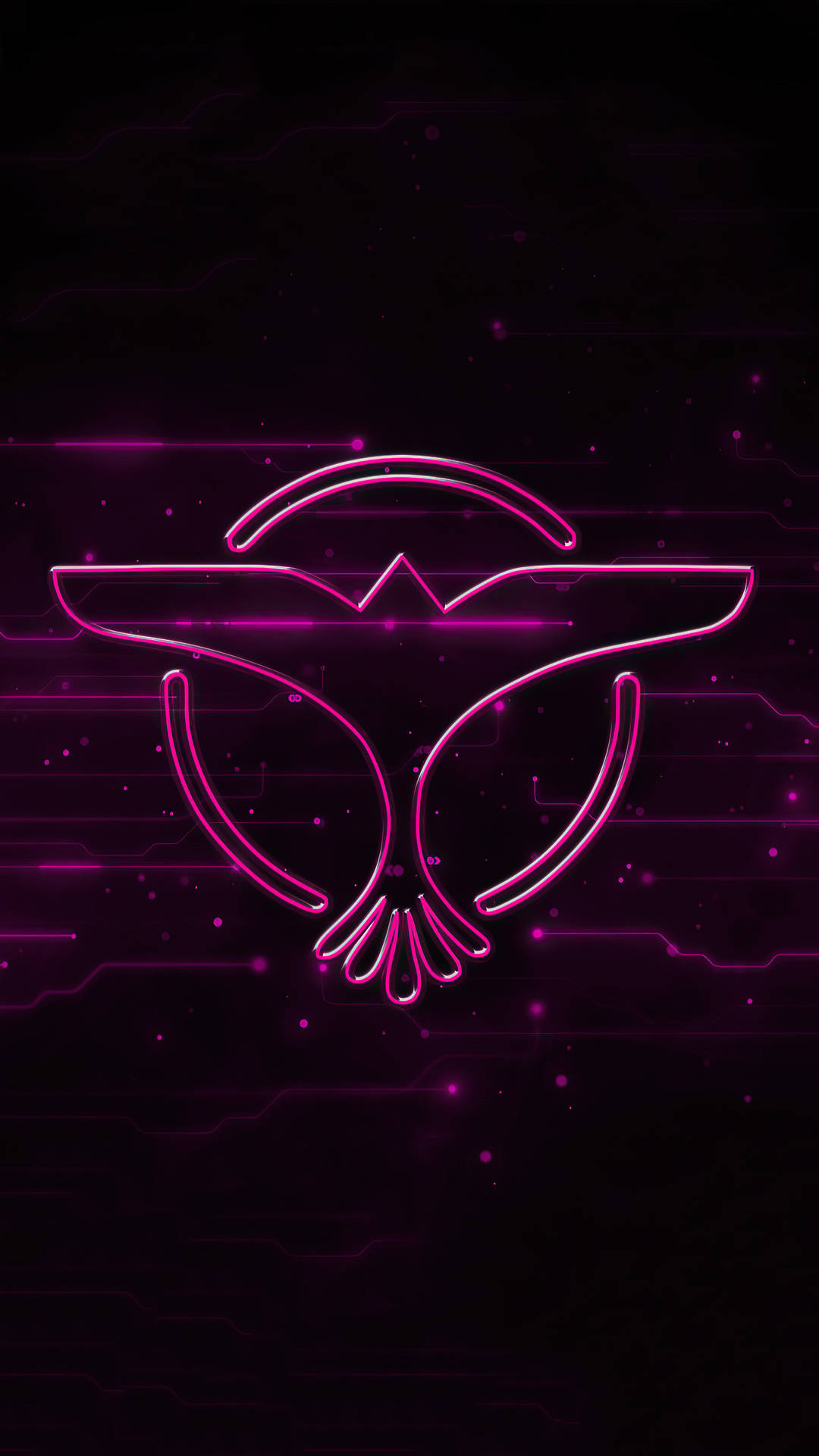 Tiesto Bird In Flight Symbol Background