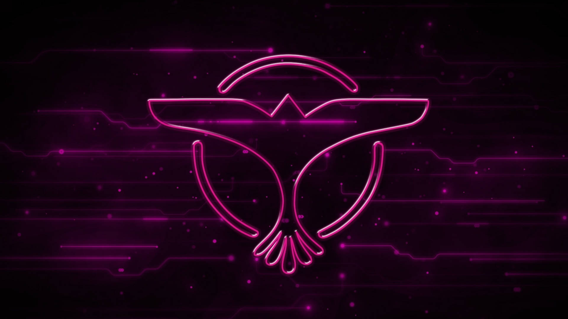 Tiesto Logo In Purple Background