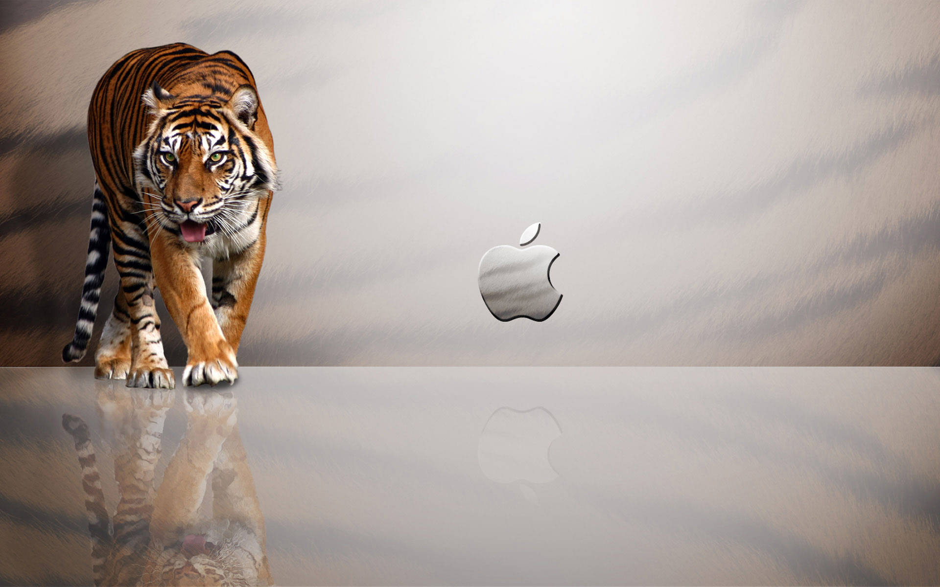 Tiger Apple Macos Background