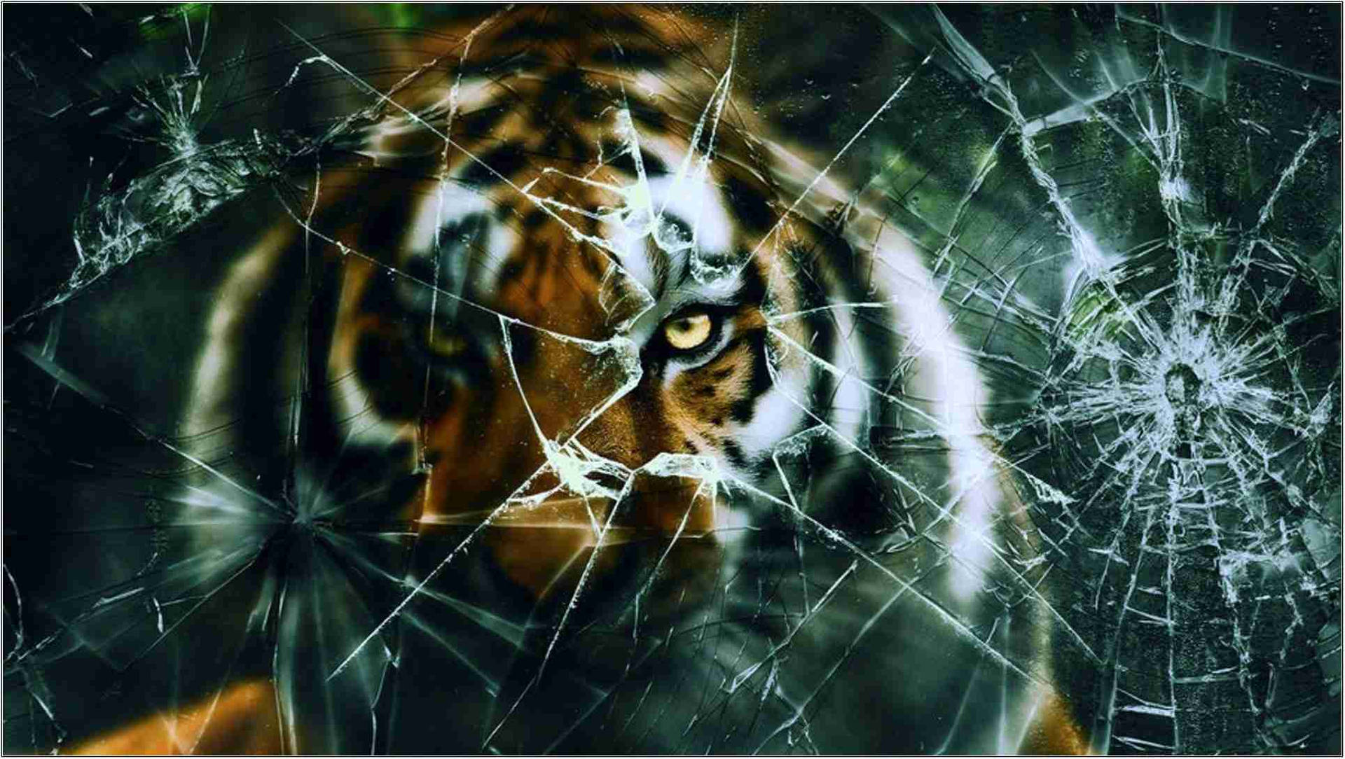 Tiger Broken Computer Screen Background