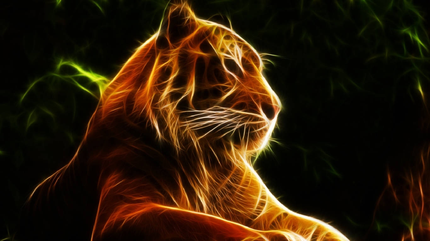Tiger Chromebook Background Background
