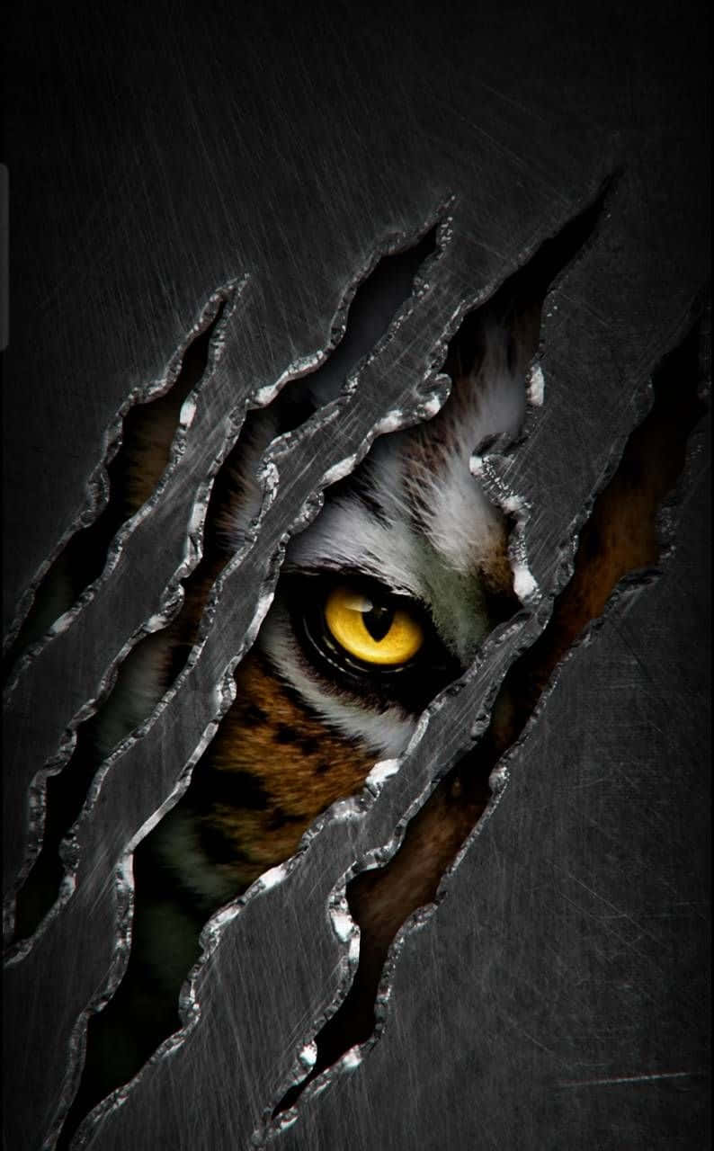 Tiger Face Wallpaper - Screenshot