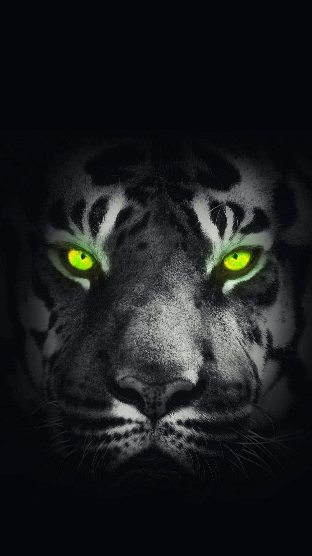 Tiger Face With Green Eyes