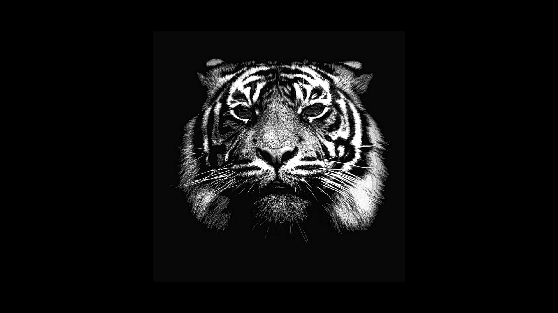Tiger Head Black-themed Illustration