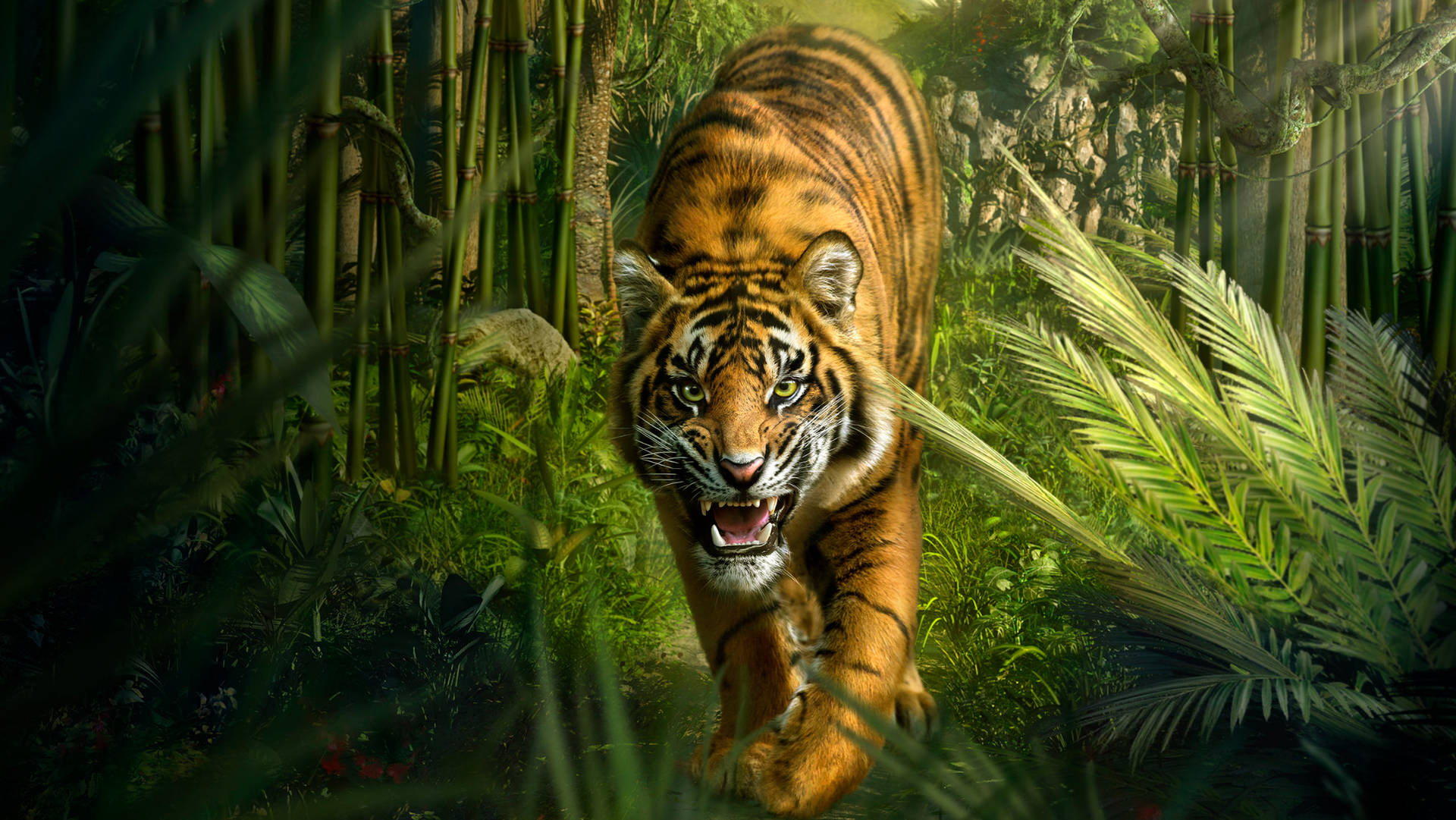 Tiger In The Jungle Background