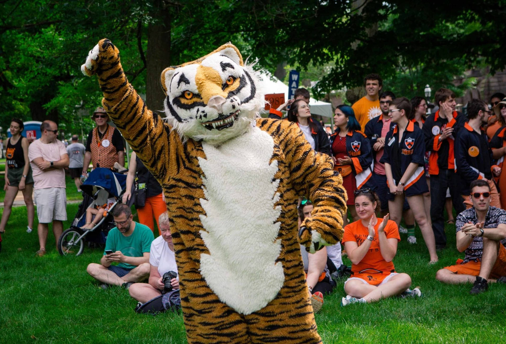 Tiger Mascot Princeton University Background