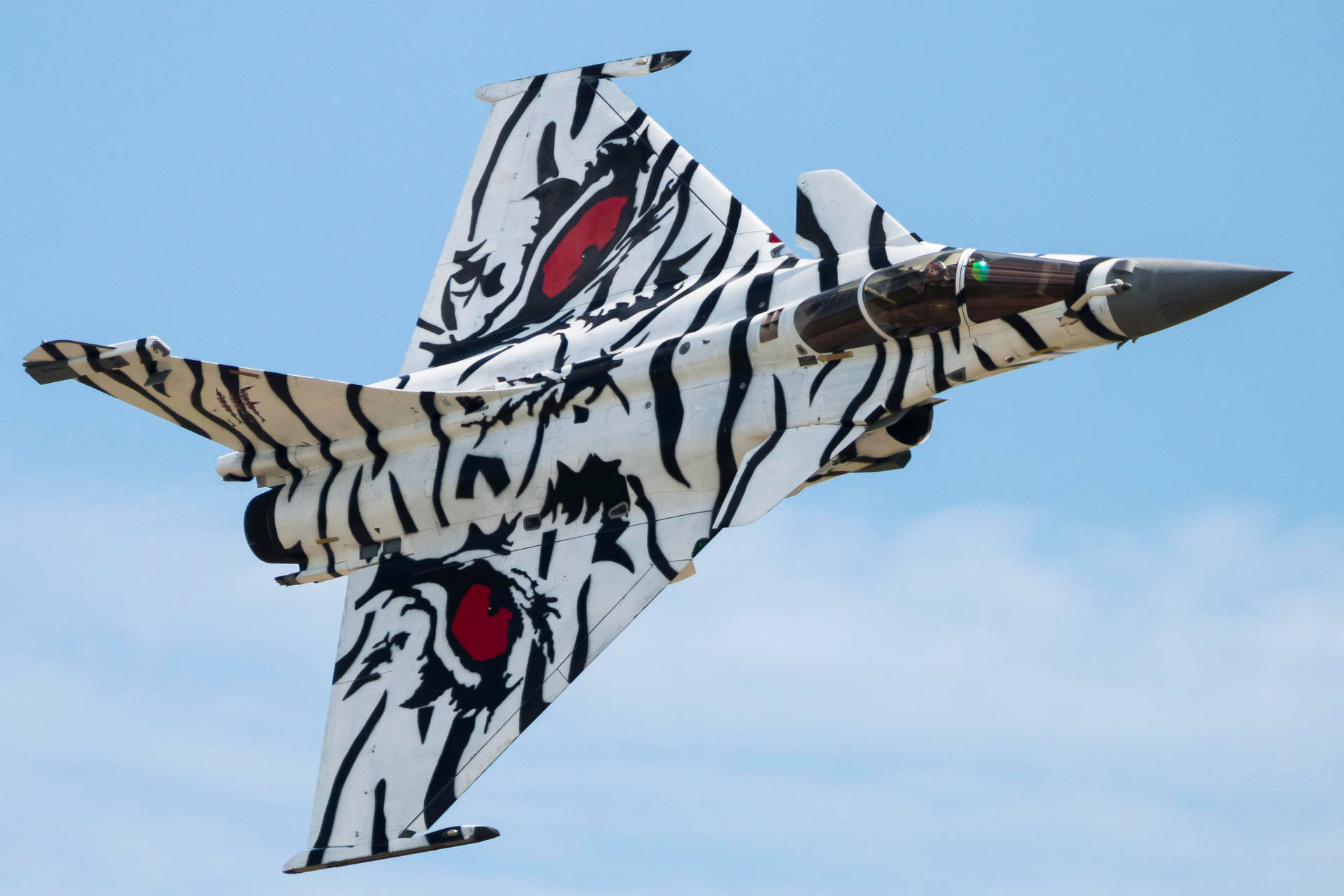 Tiger-painted Rafale Fighter Jet