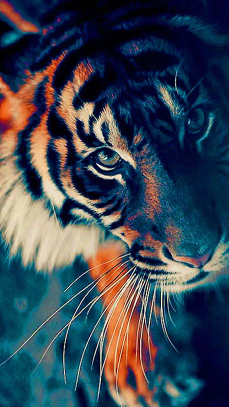 Tiger Phone - The Perfect Device To Take You Wild Background