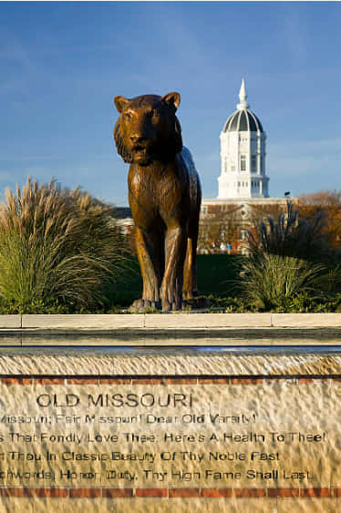 Tiger Statue And Jesse Hall University Of Missouri Background