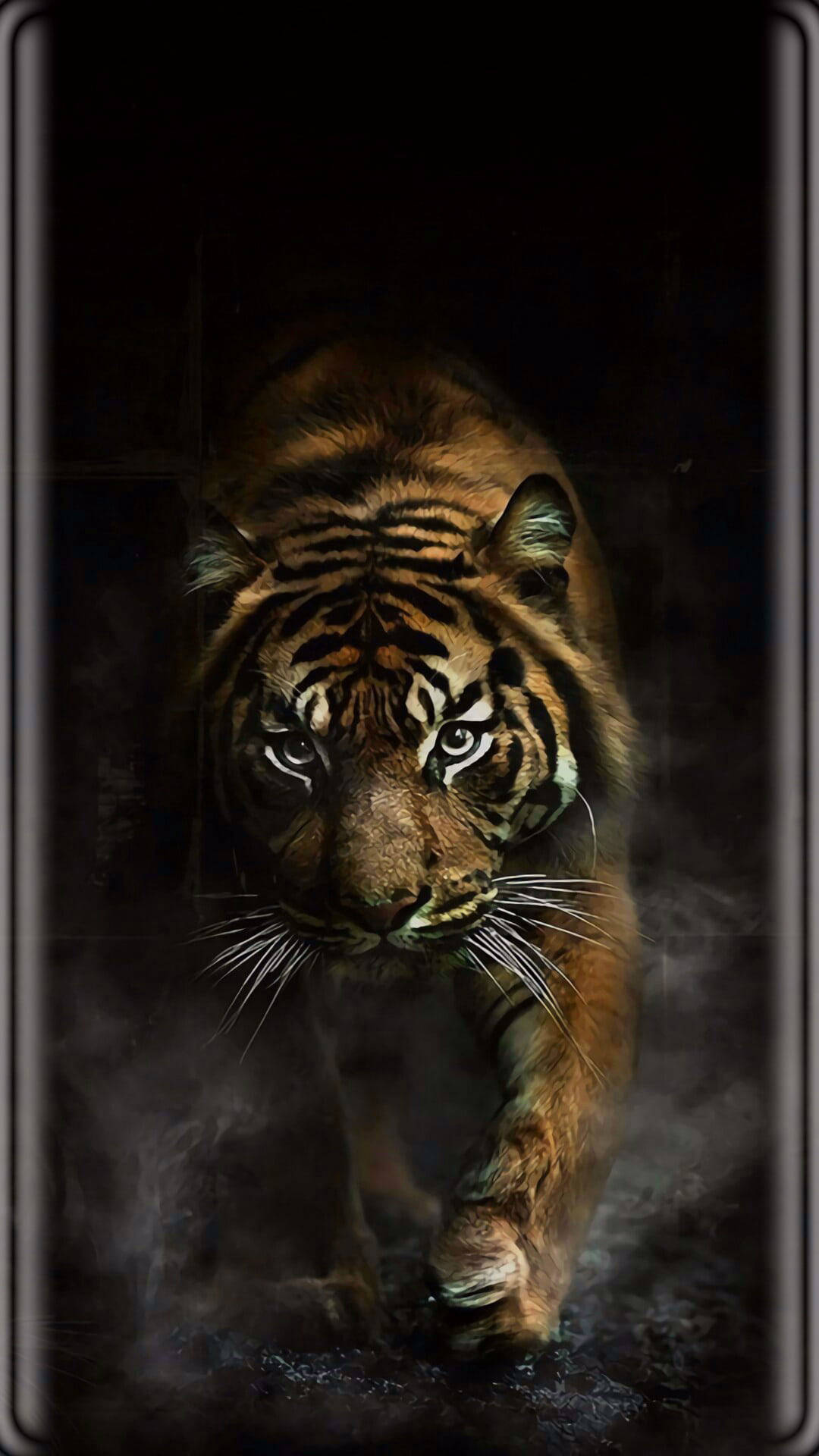 Tiger With Black Tiger Stripes Background