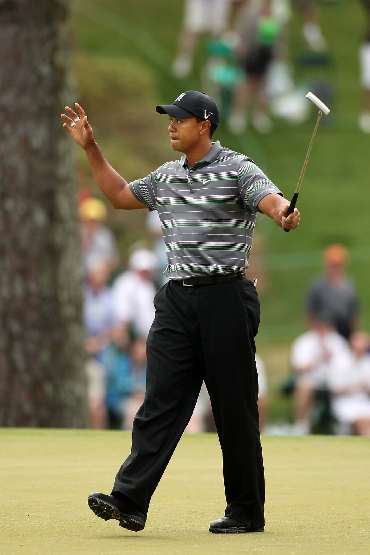 Tiger Woods Iphone In Calm Mode Background