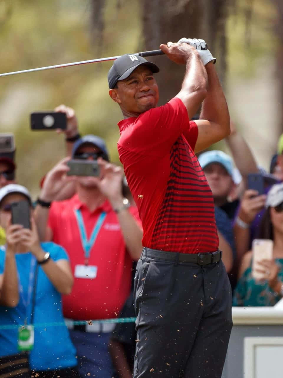 Tiger Woods Iphone Is Playing Background