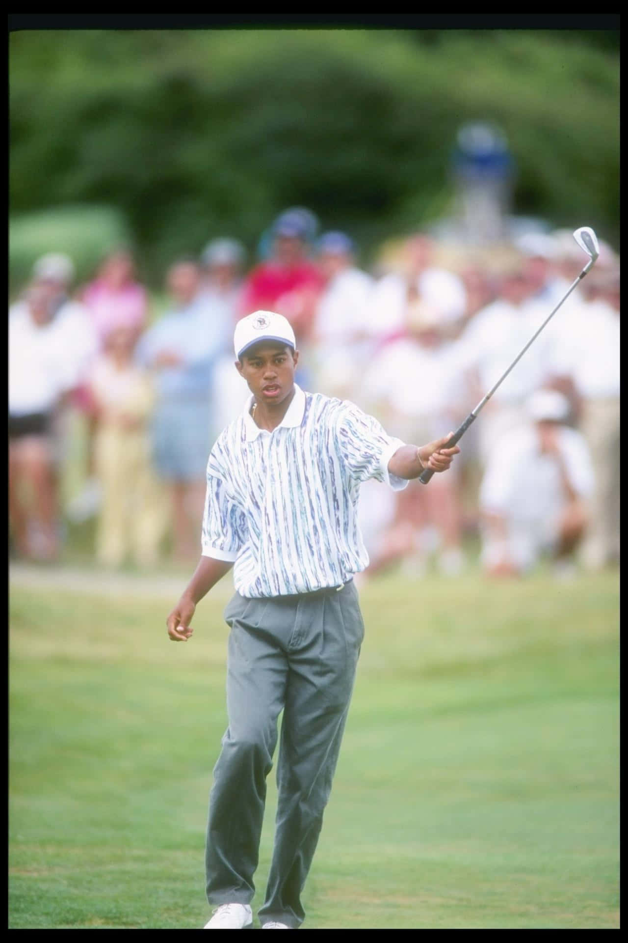 Tiger Woods Iphone Young Version Background