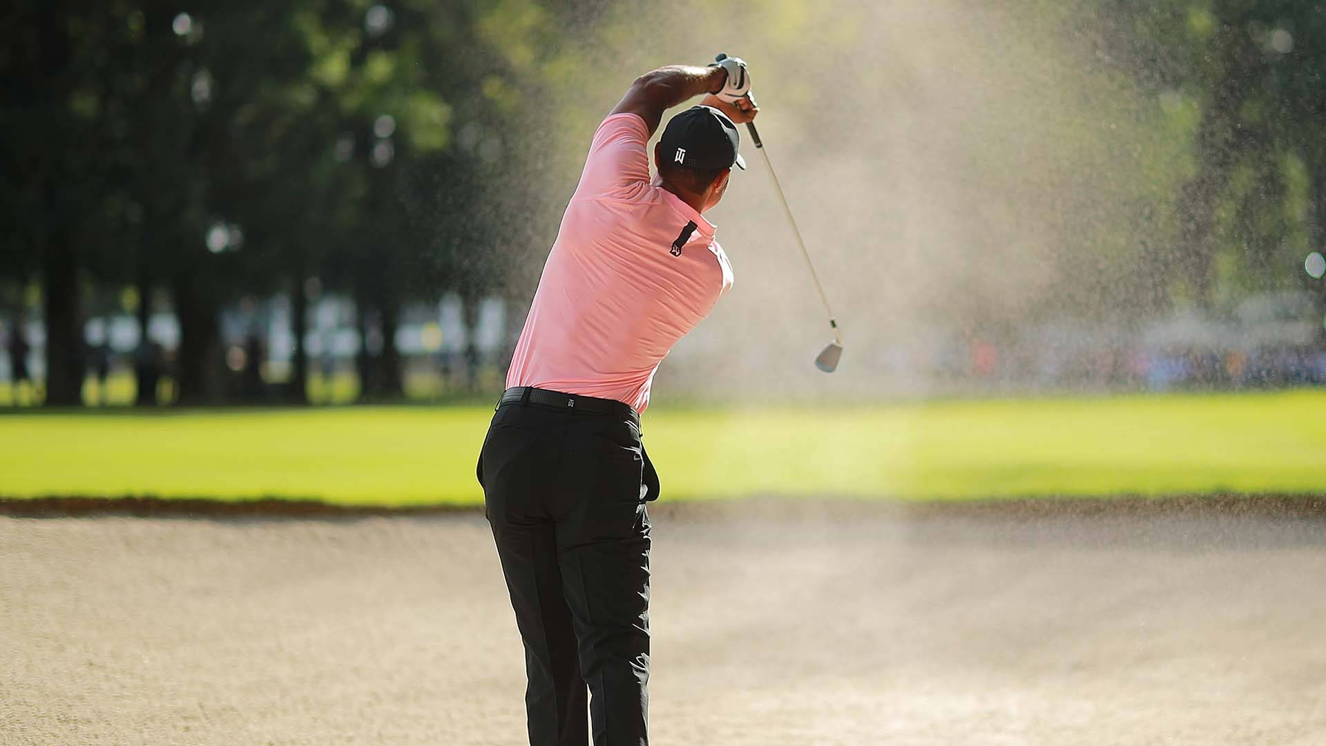 Tiger Woods Masters Pink Shirt Background