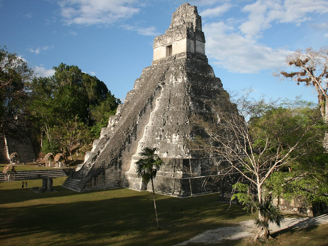 Tikal Diagonal View Background