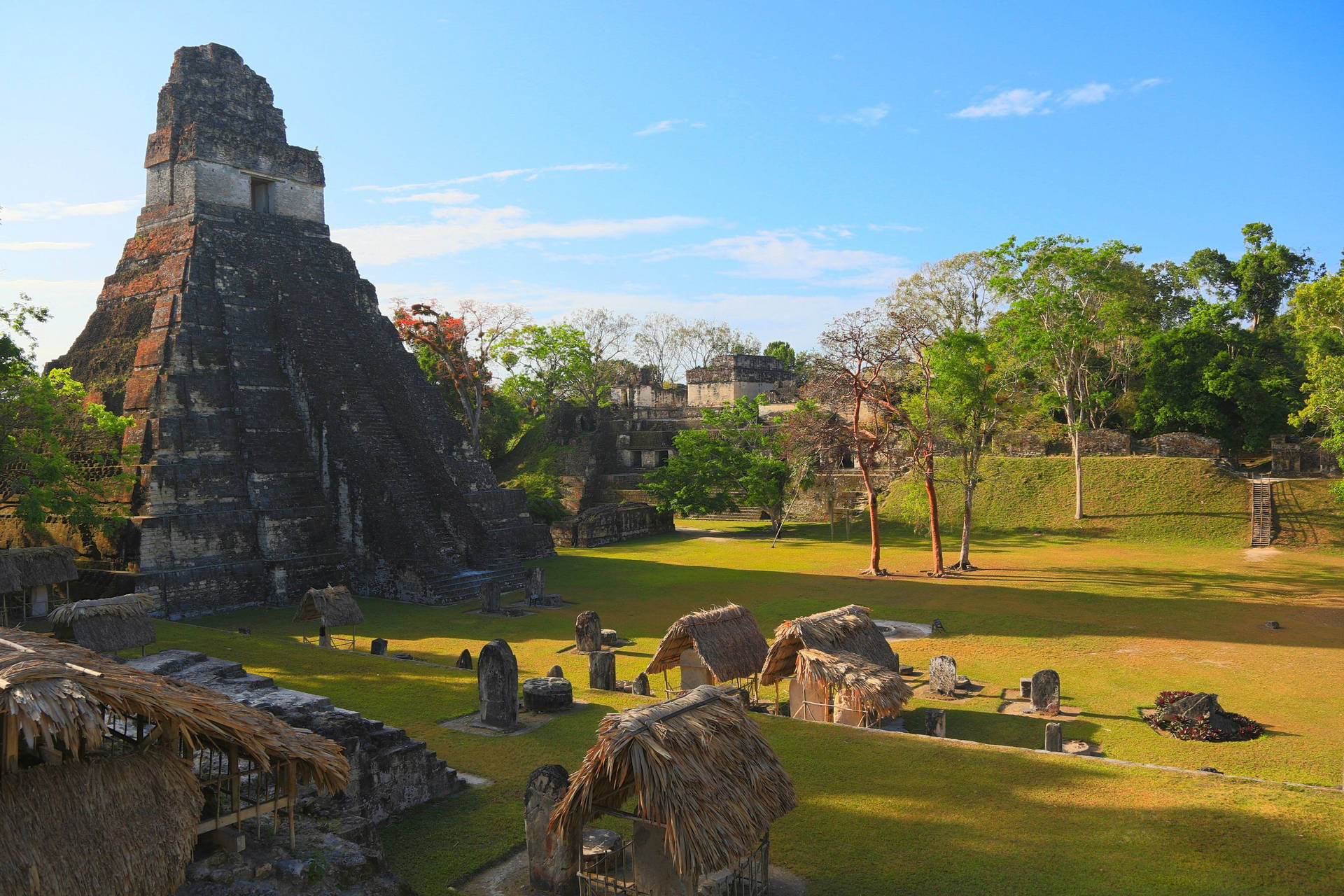 Tikal Golden Sunlight Background