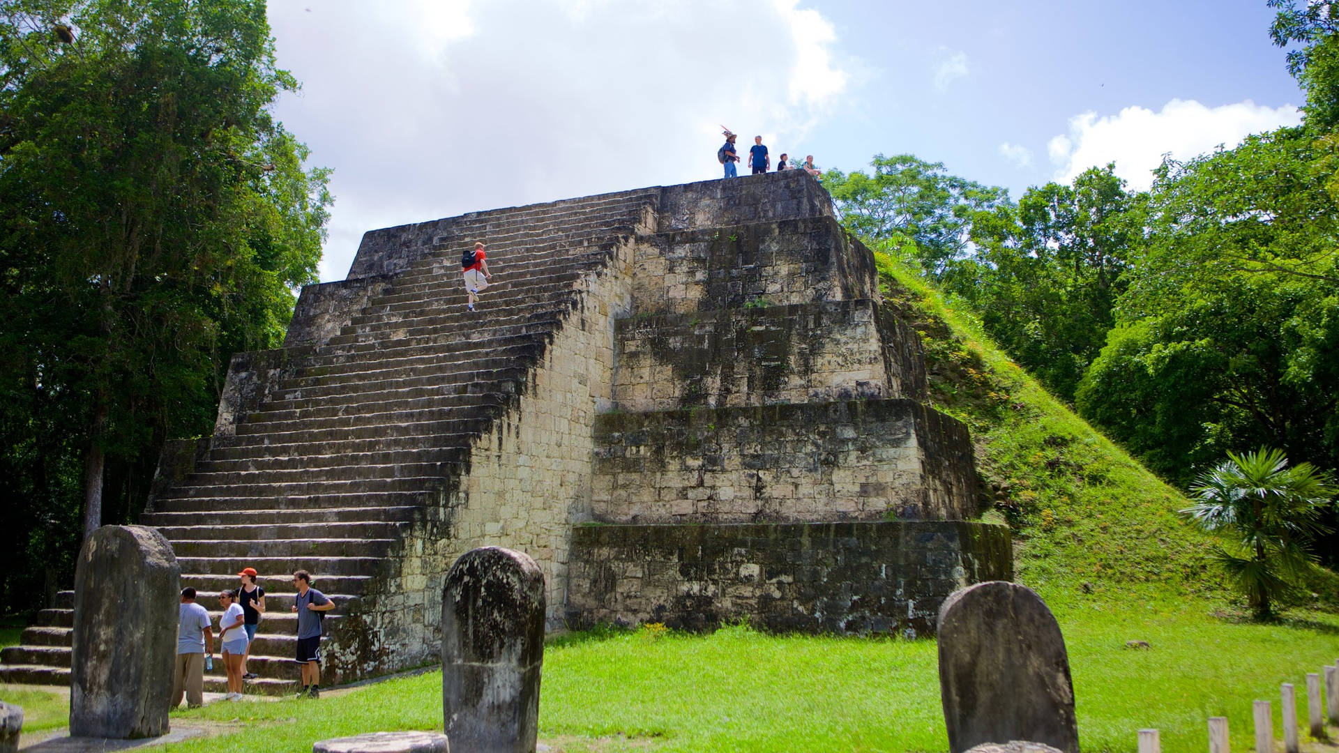 Tikal Greenery Background