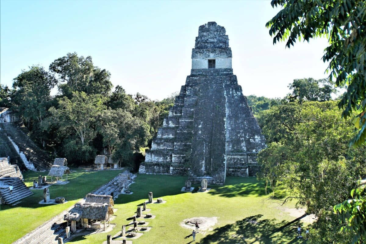 Tikal Harsh Sunlight Background