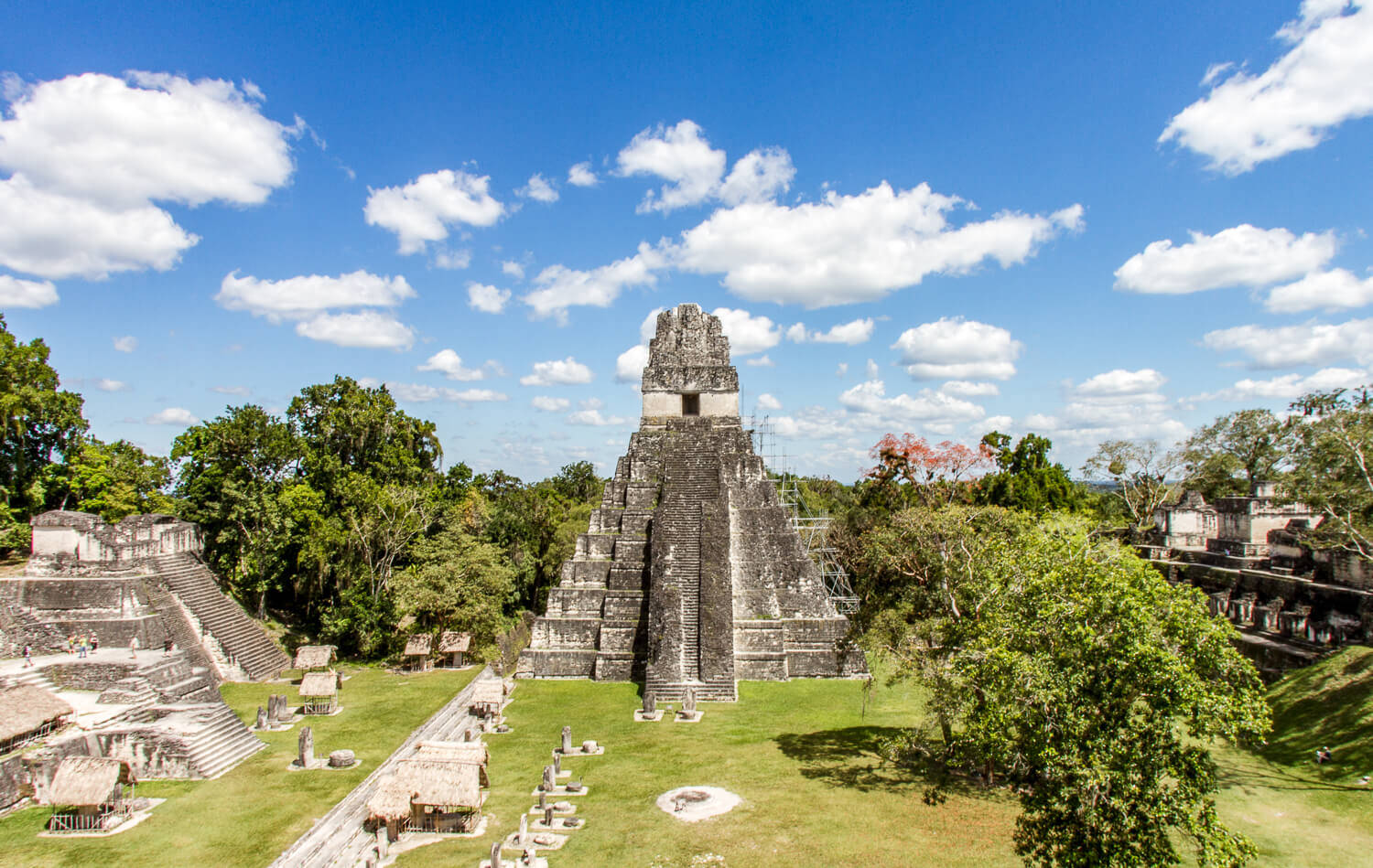 Tikal In The Day Background