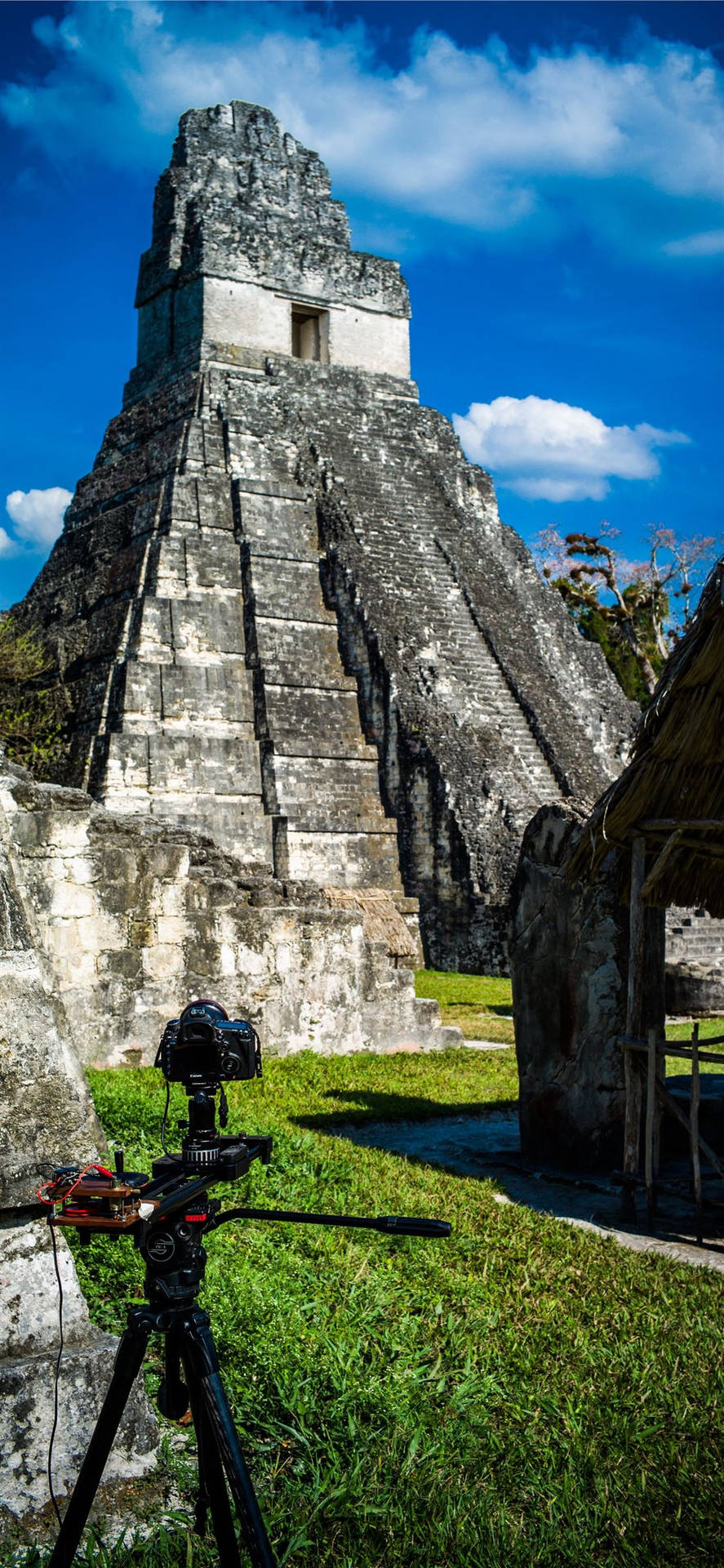 Tikal Photo Setup Background