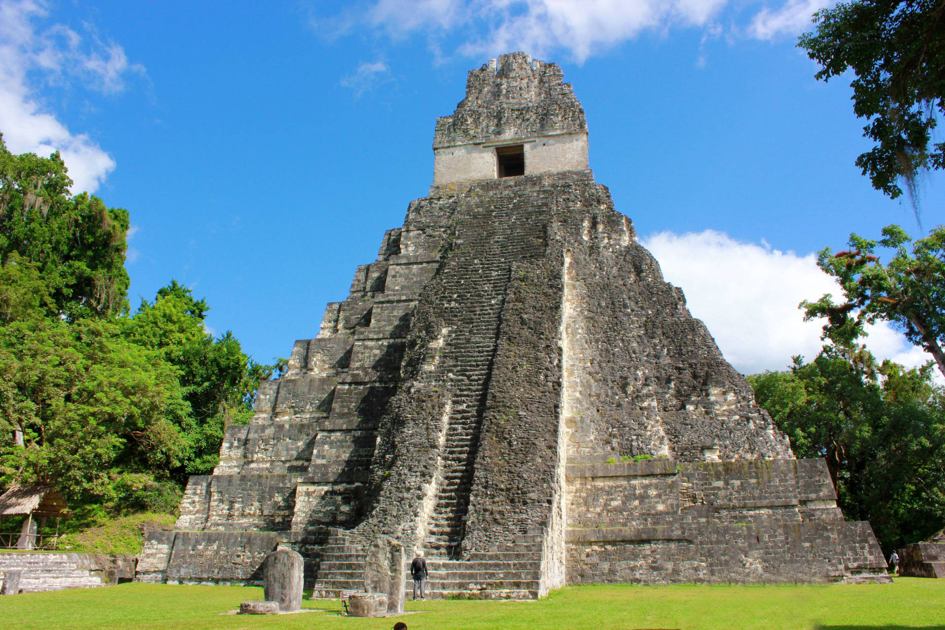 Tikal Pyramid Against Blue Sky Background