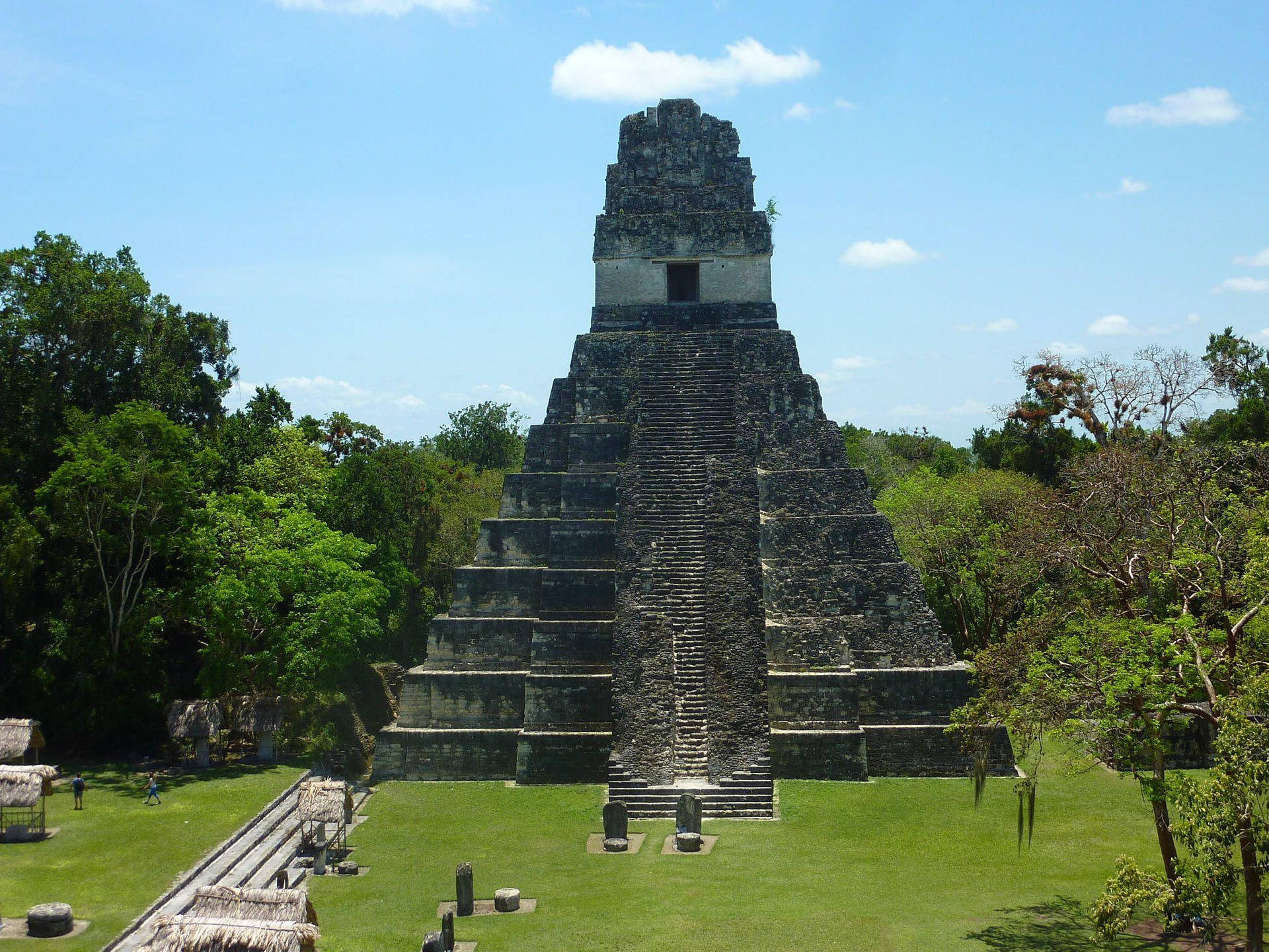 Tikal Pyramid In Daytime Background