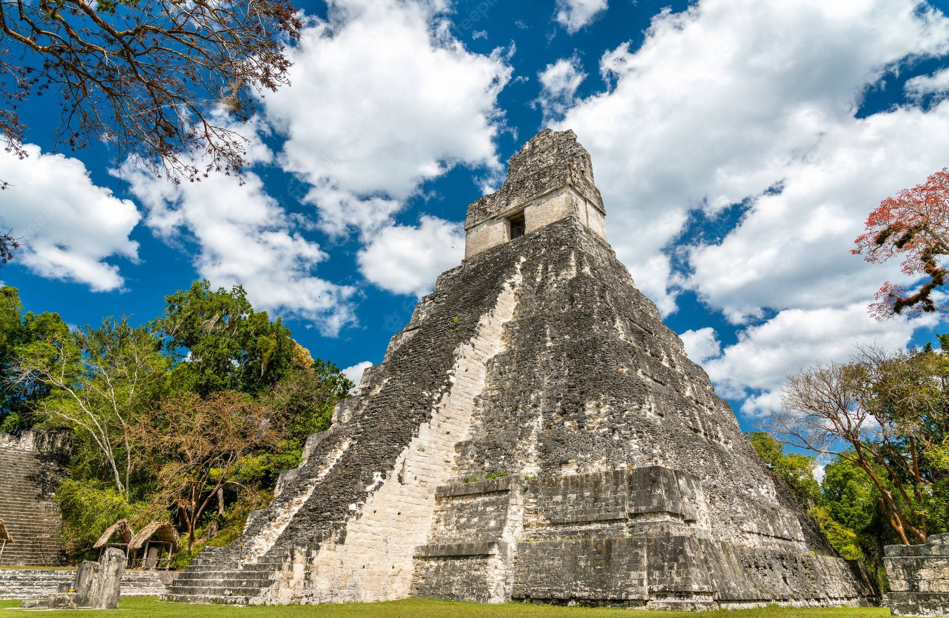 Tikal Tall Pyramid Background