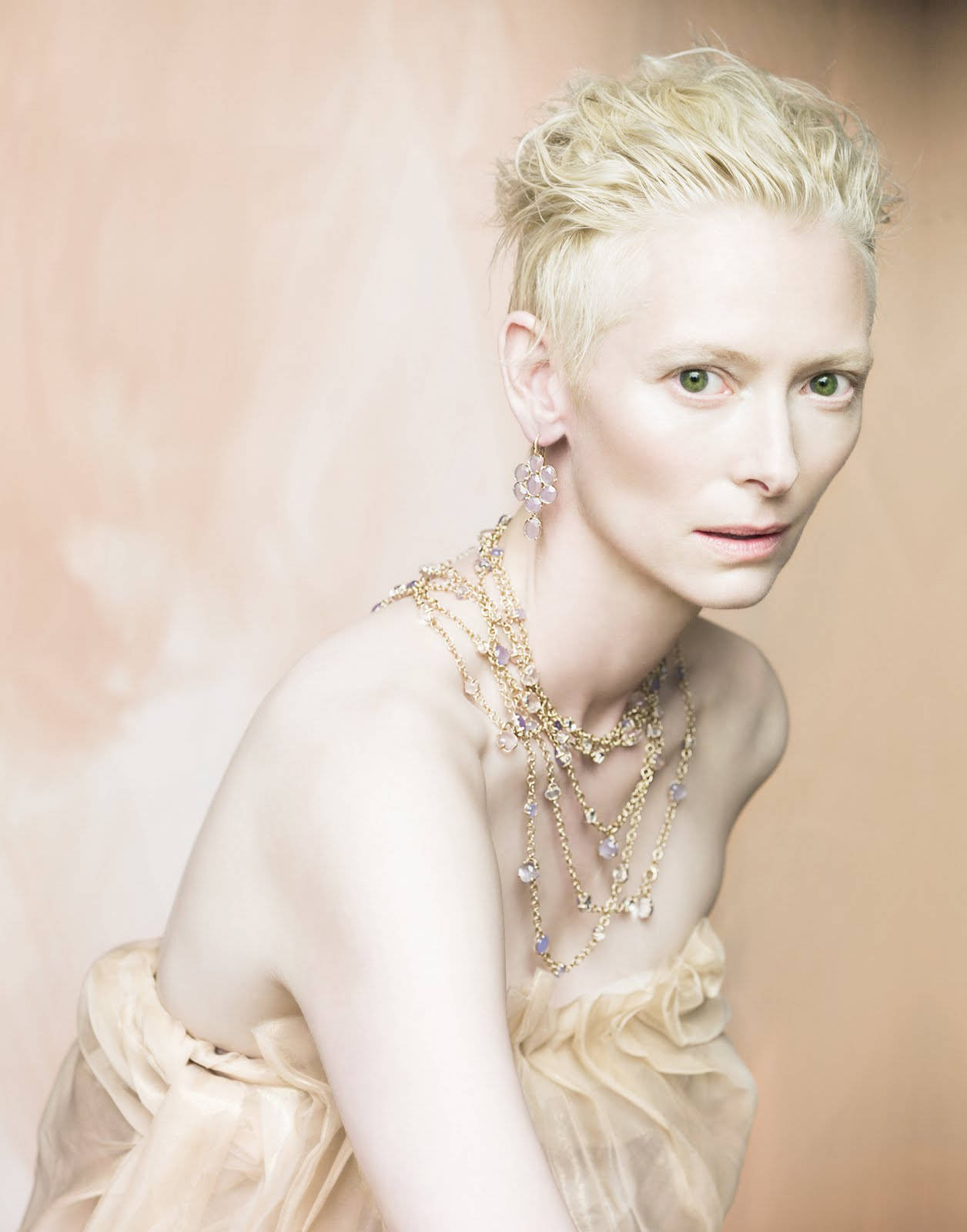 Tilda Swinton British Actress Film Background