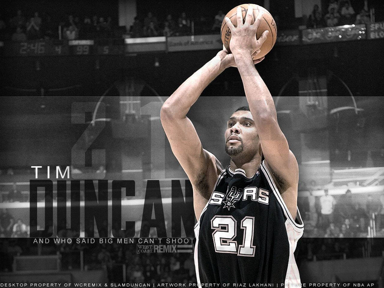 Tim Duncan Grey Ball Art