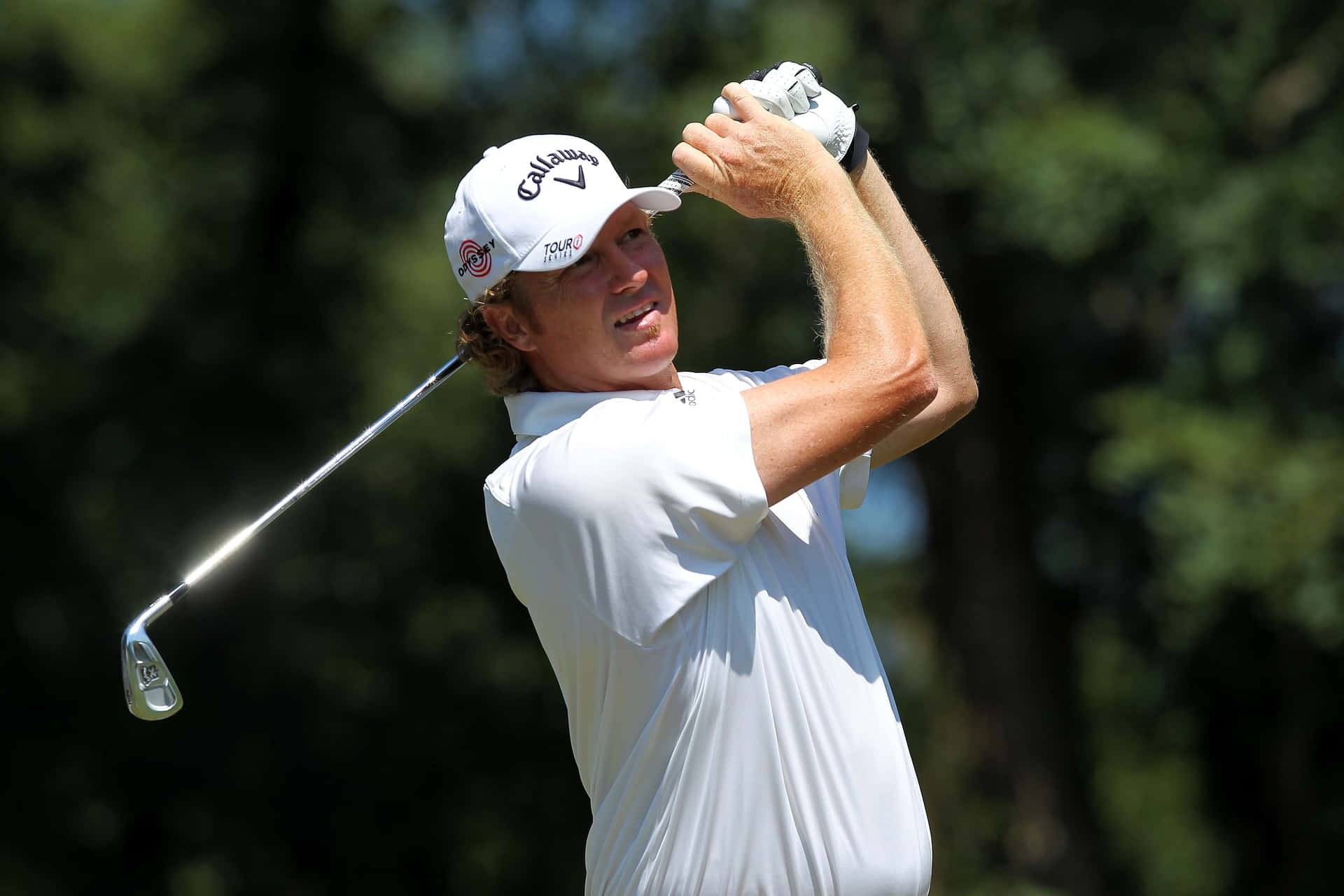 Tim Petrovic Landscape