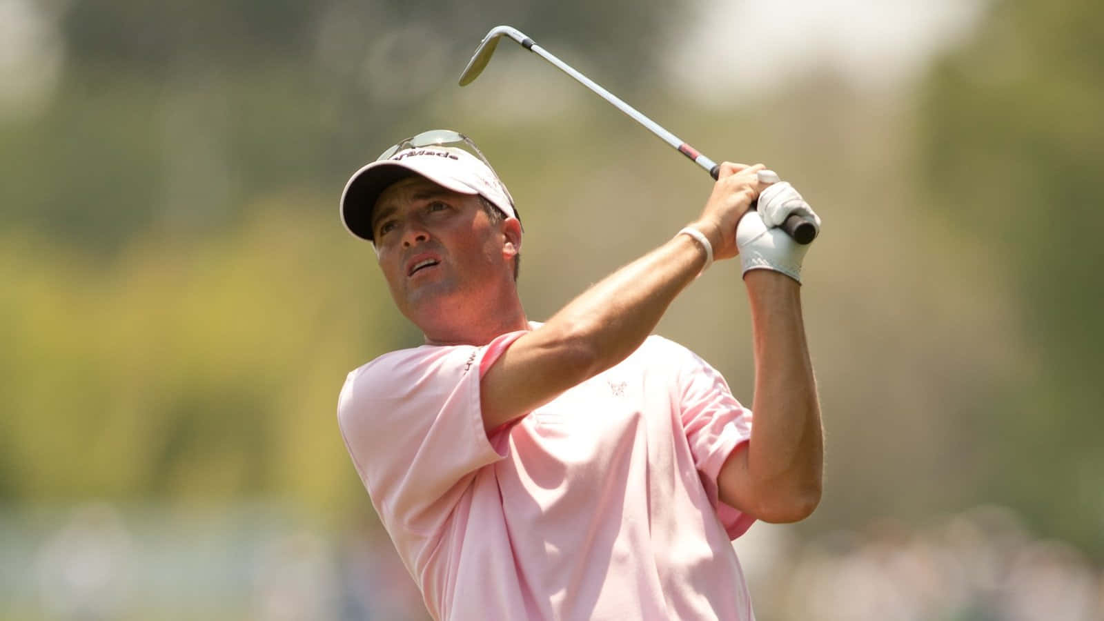 Tim Petrovic Looking Upward