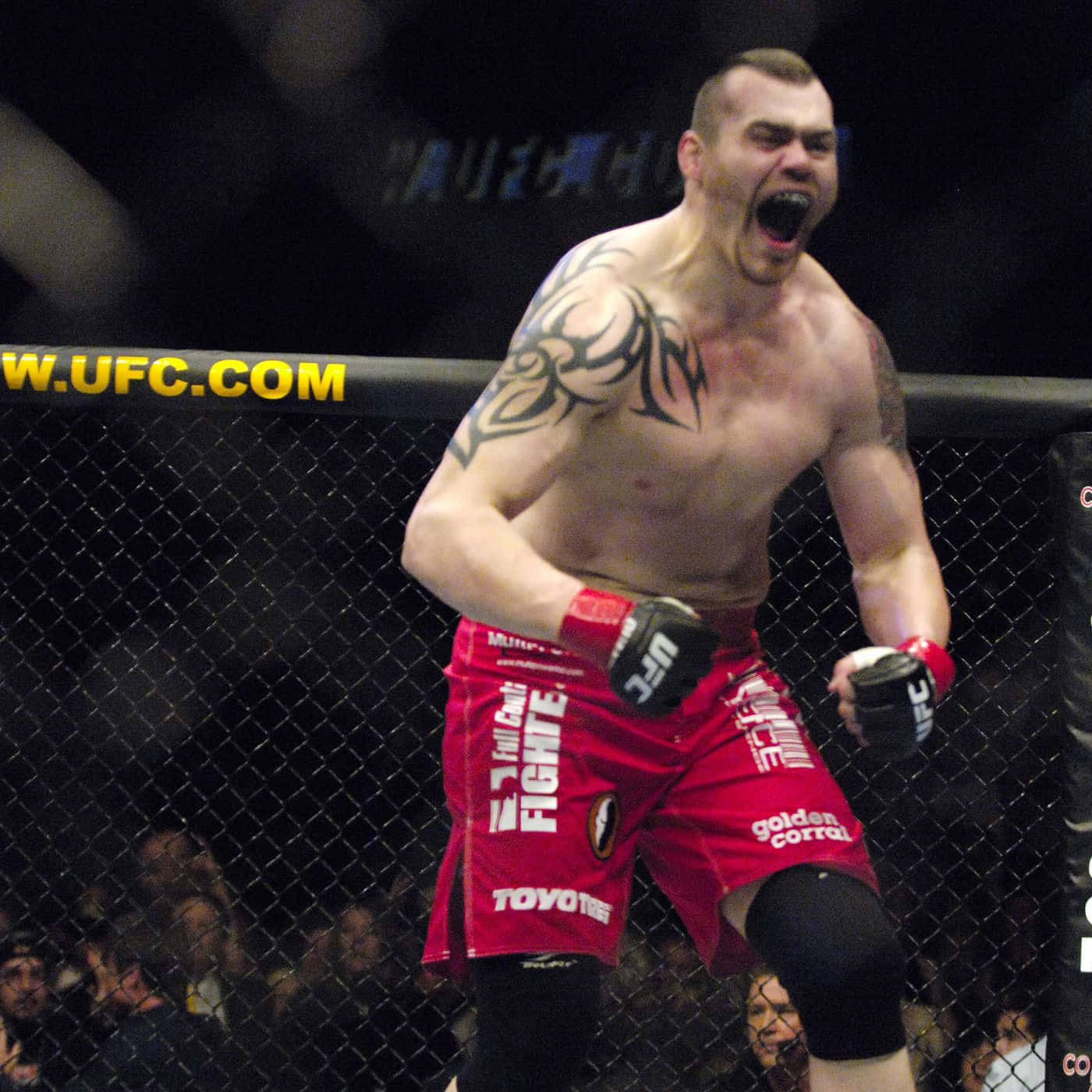Tim Sylvia, American Former Heavyweight Champion Background