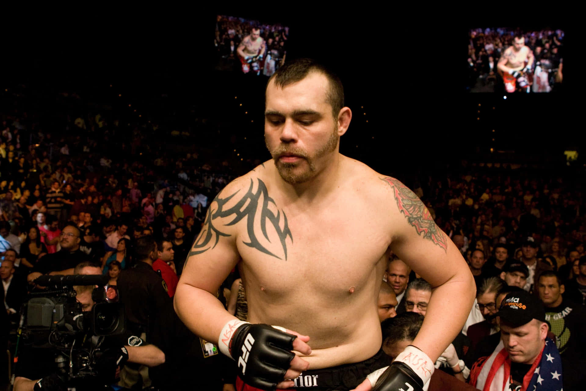 Tim Sylvia American Martial Arts Fighter Background