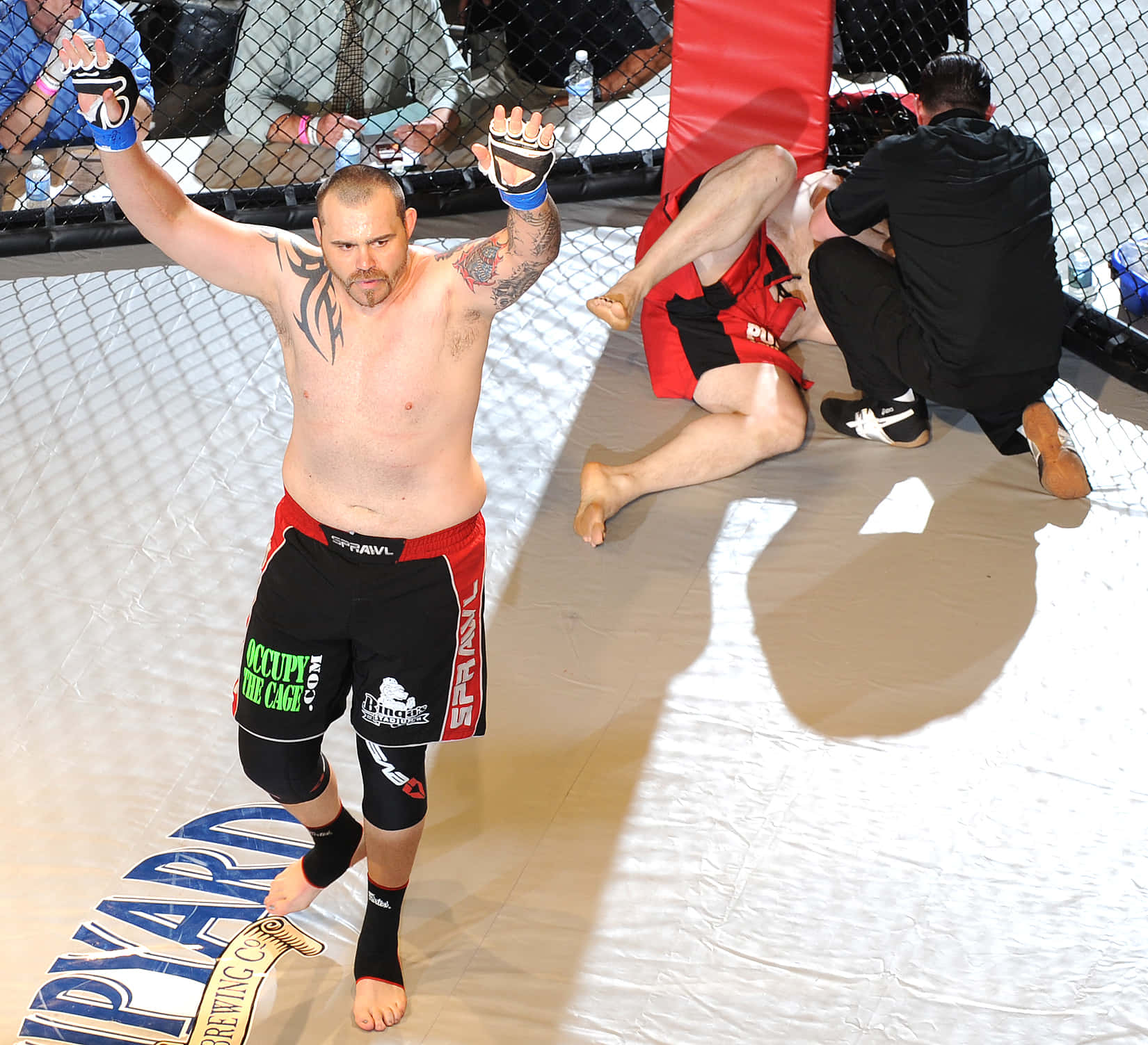 Tim Sylvia Former Martial Arts Fighter Background
