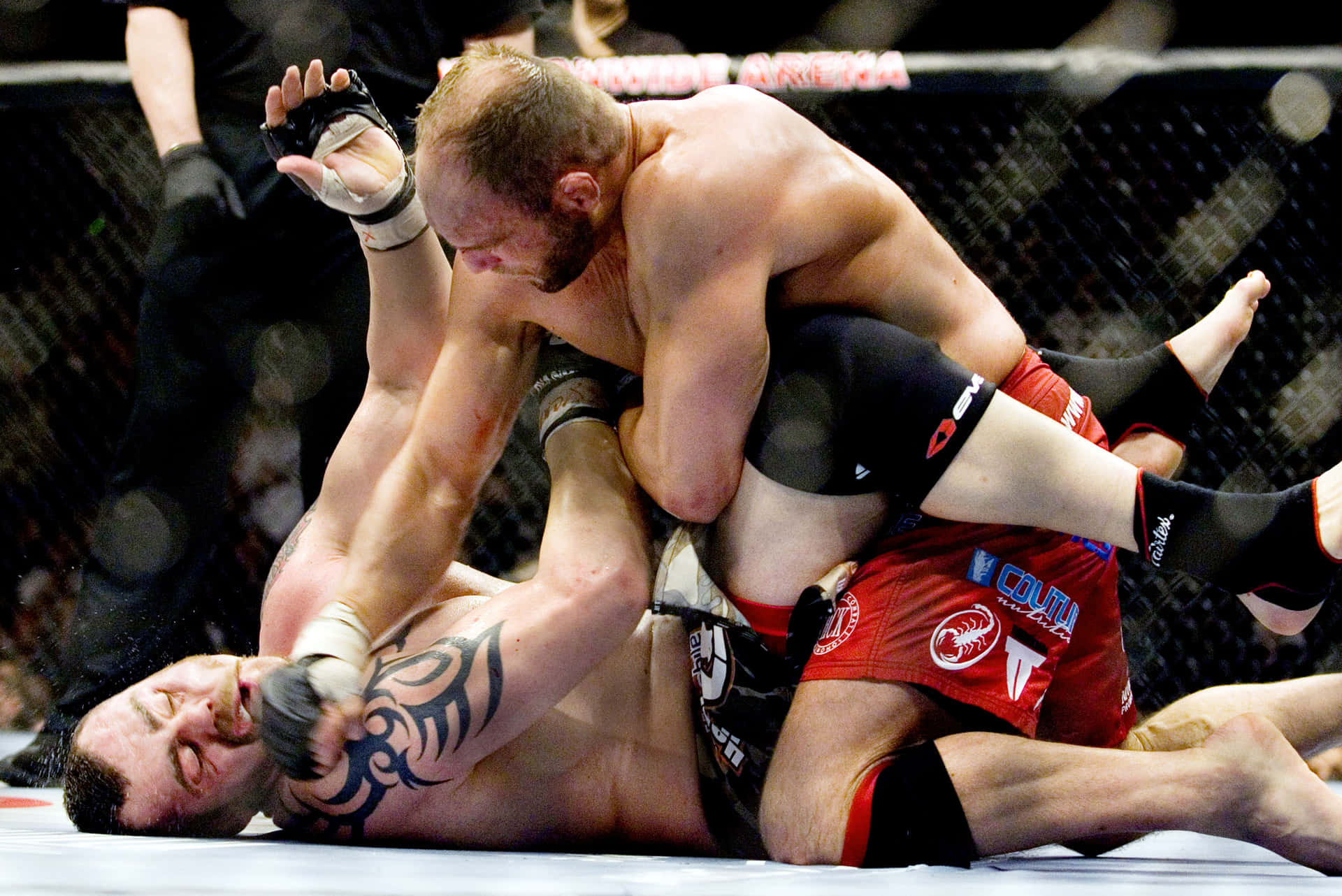 Tim Sylvia Randy Couture Mma Background