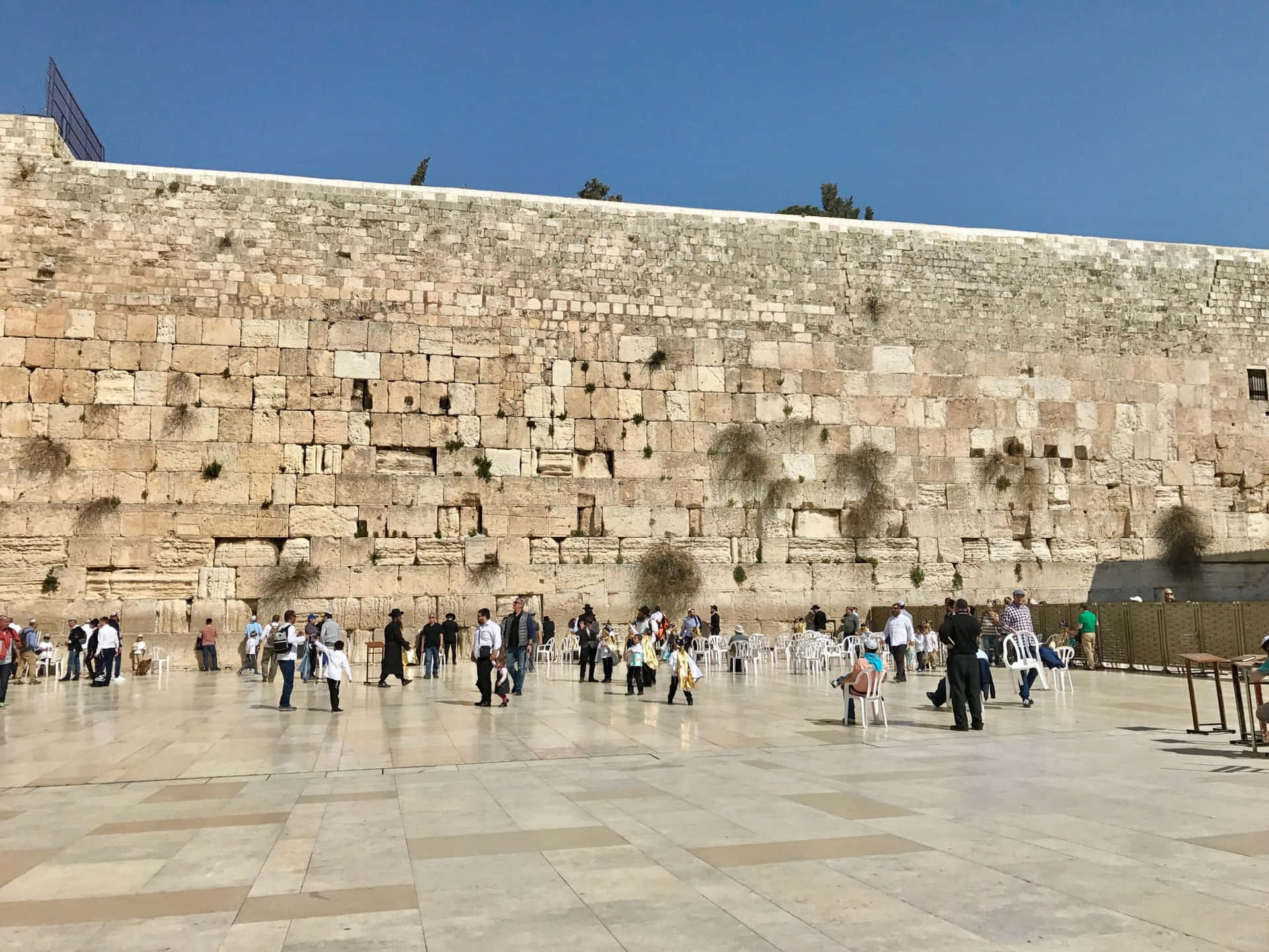 Time Allow Everyone Wailing Wall Background