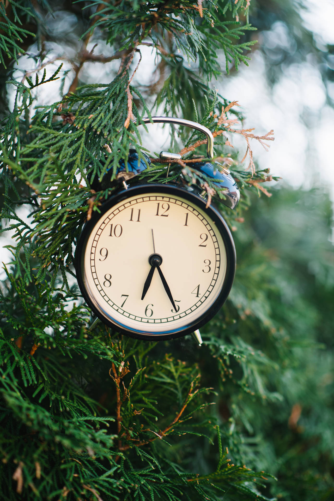 Time Clock On Christmas Tree Background