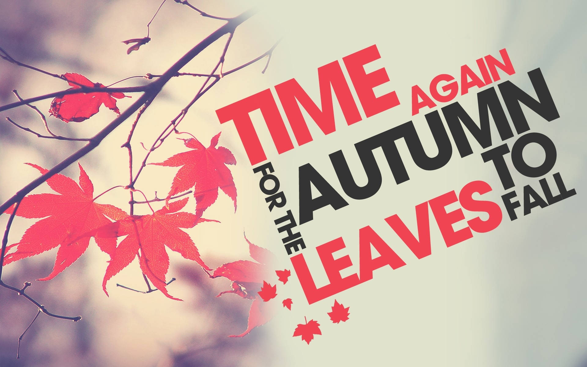 Time For Autumn Season Background