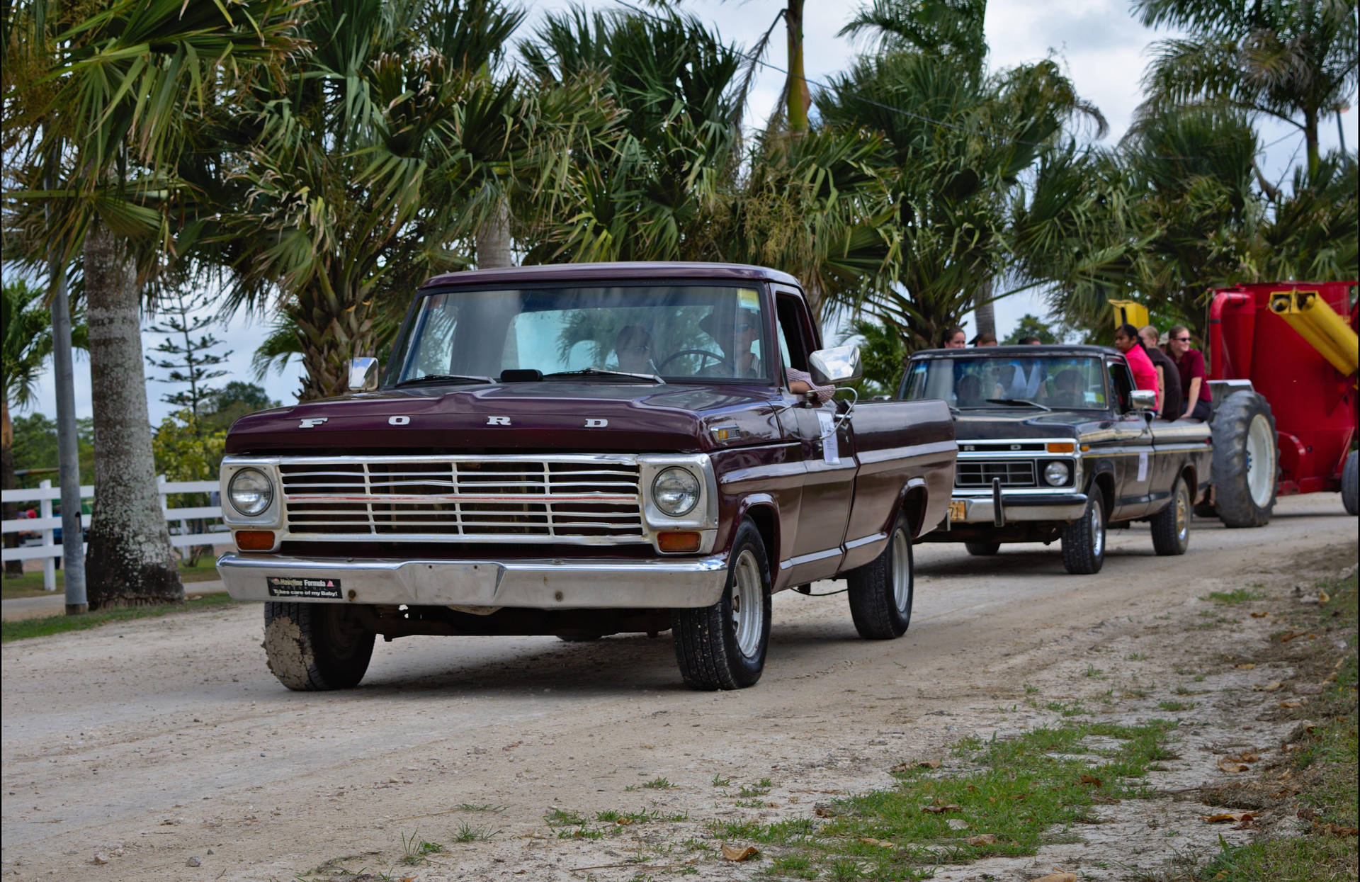 Timeless Beauty: A Pair Of Classic Ford Trucks
