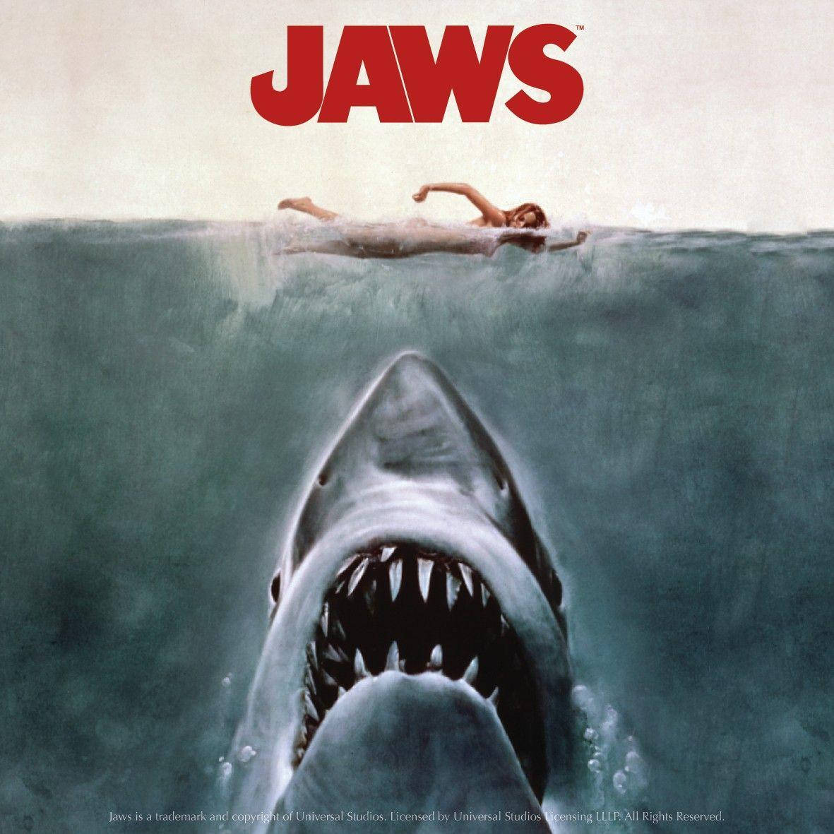 Timeless Movie Poster For The Spielberg Masterpiece 