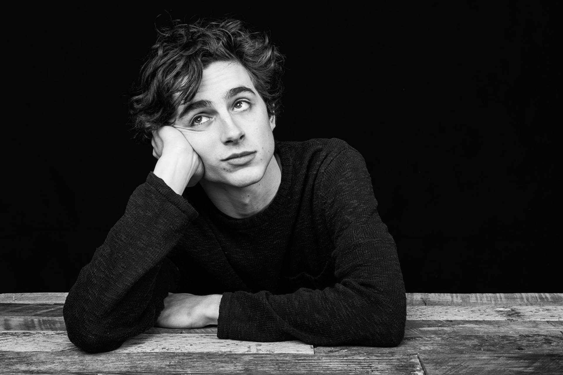 Timothée Chalamet Lazy And Bored Photograph Background