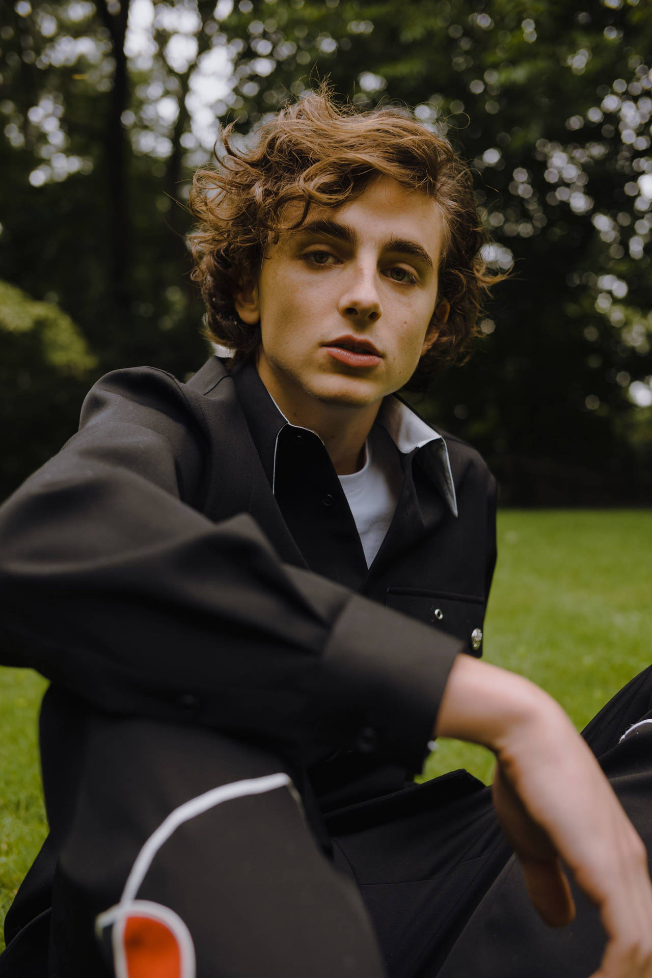 Timothée Chalamet Seated On A Garden Background
