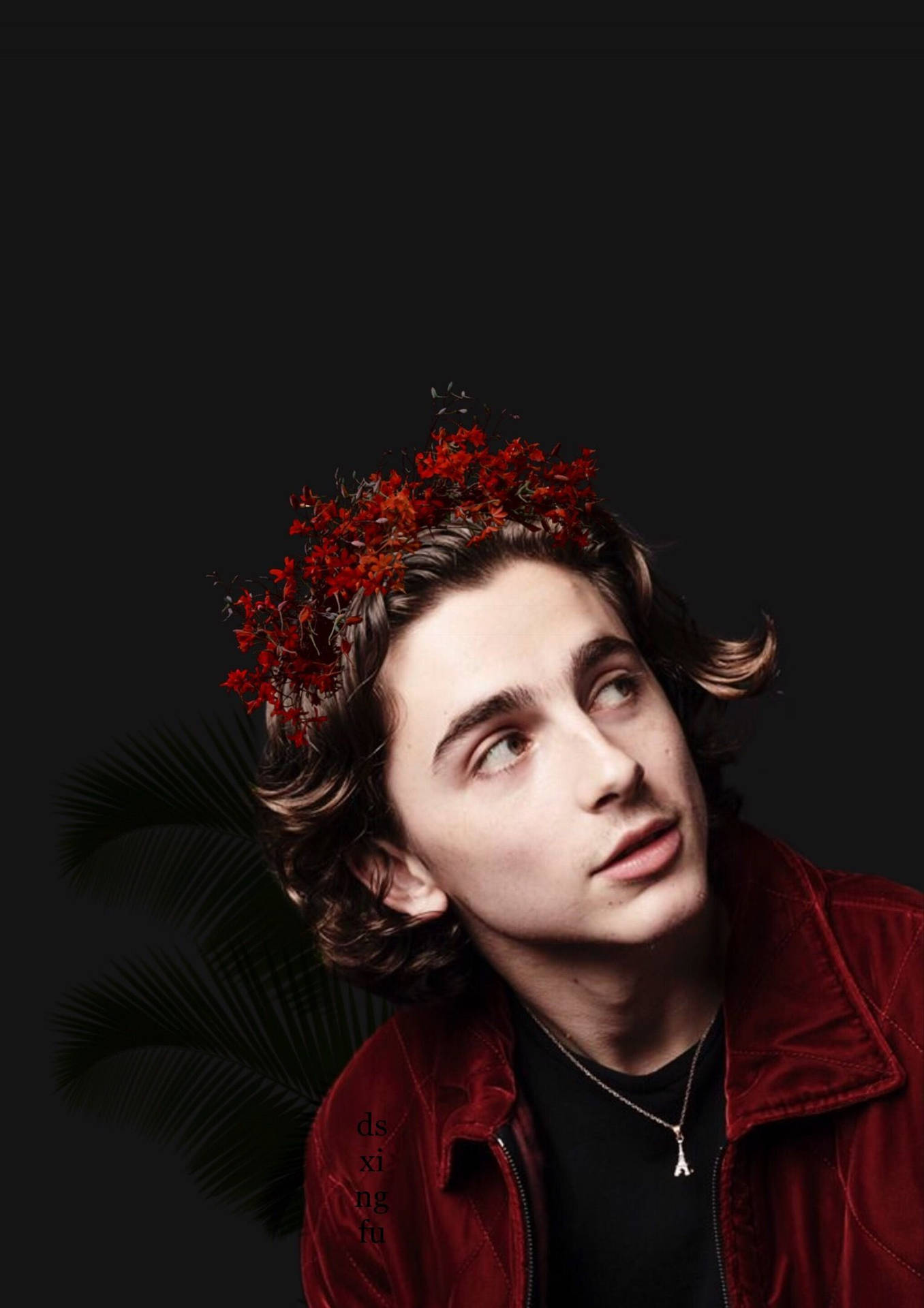 Timothée Chalamet Small Red Flowers Background