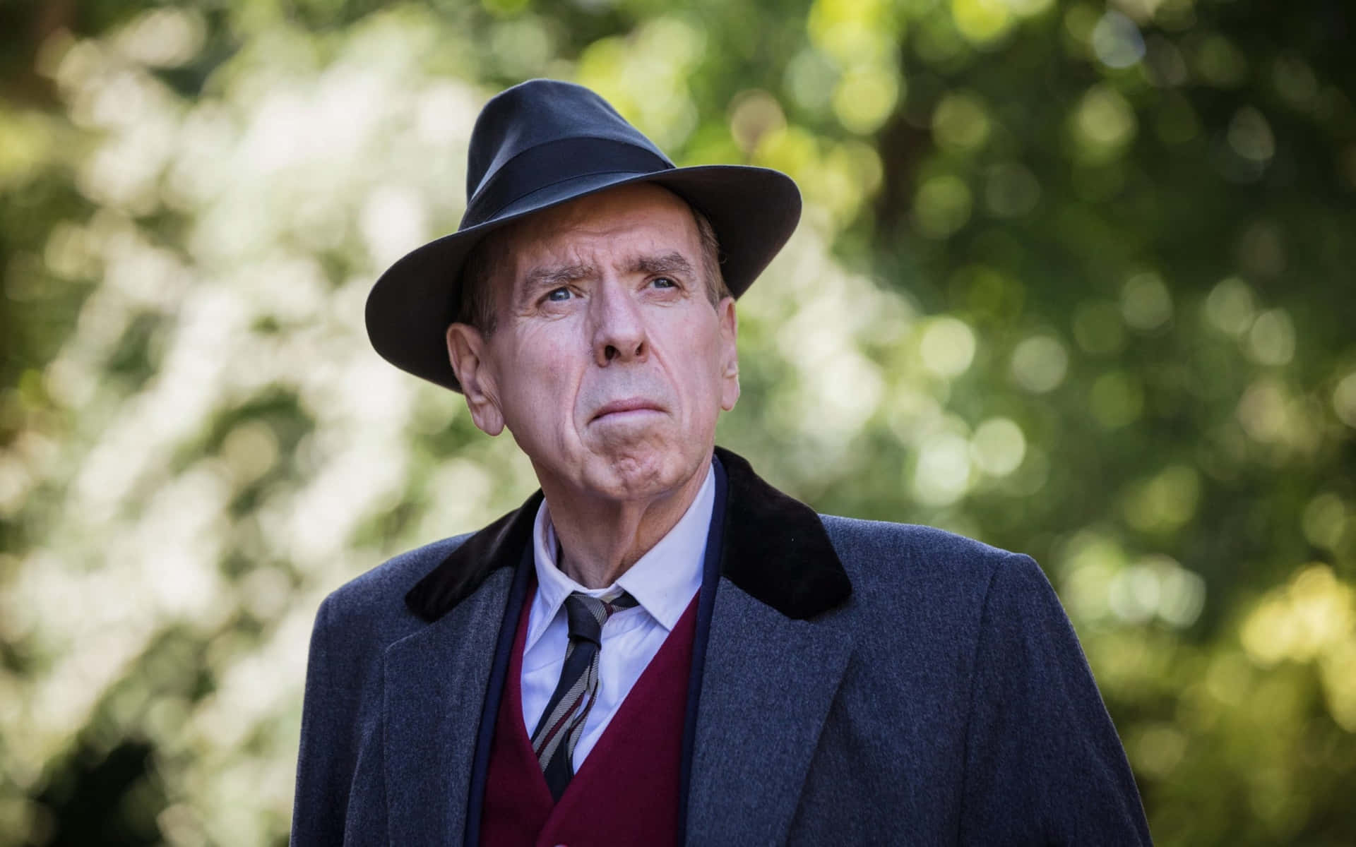 Timothy Spall At A Movie Premiere Background
