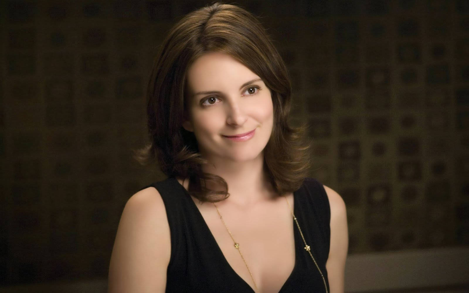 Tina Fey Hollywood Actress Hd Background