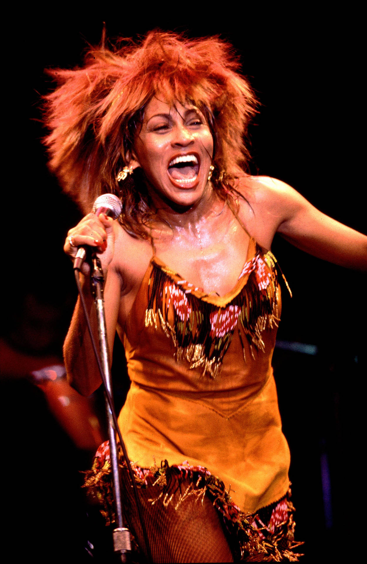 Tina Turner Live Concert Performance 80s Background