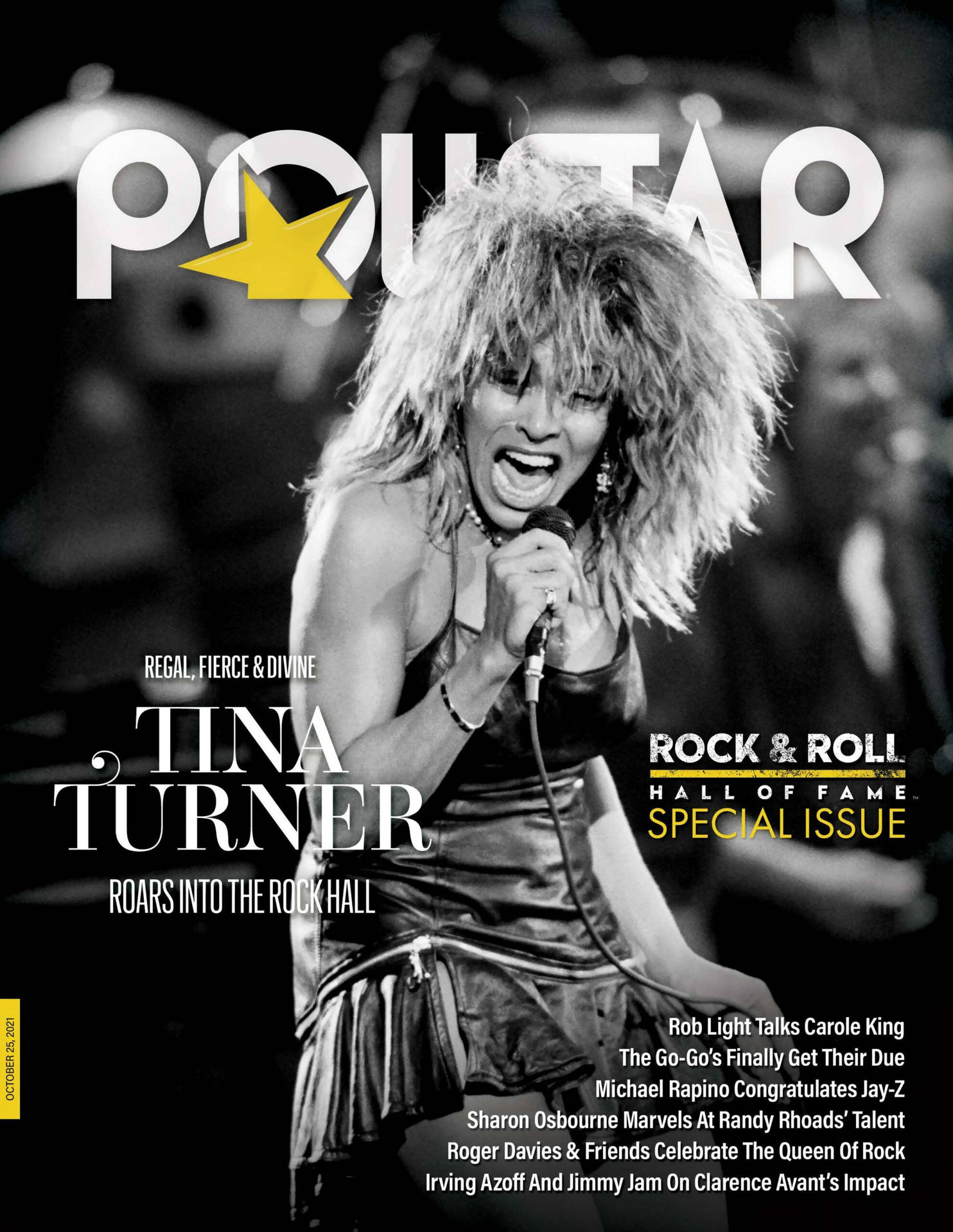 Tina Turner Rock Roll Poll Star Issue Background