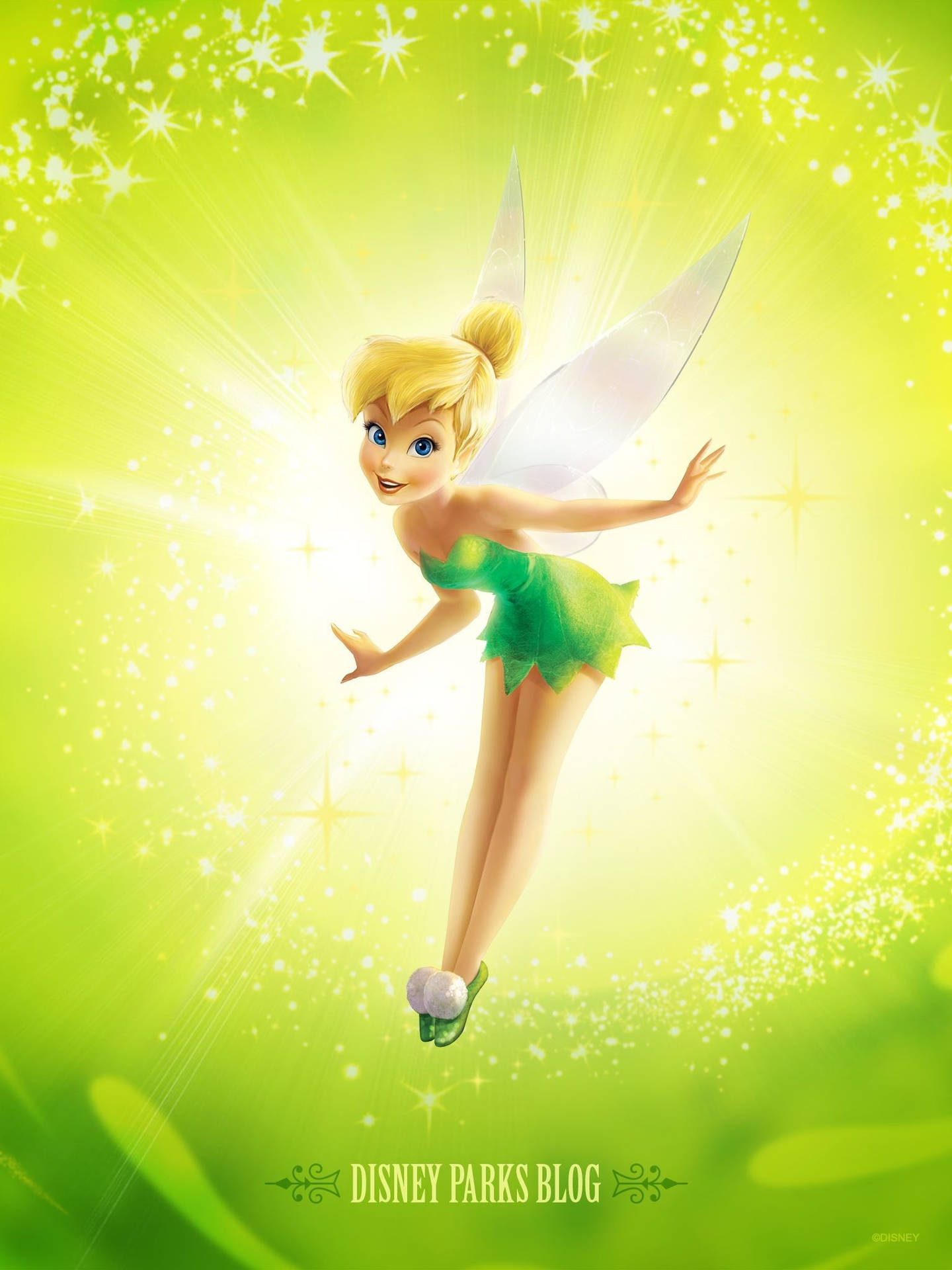 Tinkerbell In Lime Green Background Background